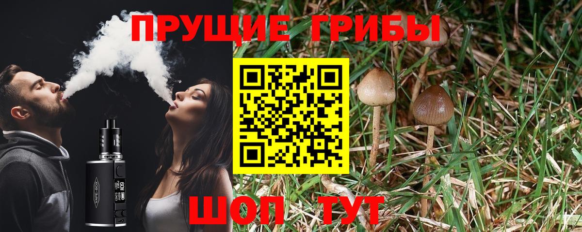 Галлюциногенные грибы мицелий  Вход с VPN  Фролово 